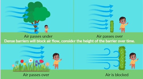 Dense barriers will block air flow. Consider the height of the barrier over time.Graphic shows air flow being blocked by dense trees and high hedges, air flow is not blocked by small hedges and flower beds.