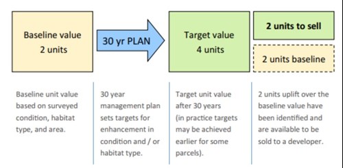 Baseline value 2 units: Baseline unit value based on surveyed condition, habitat type, and area. 30 year plan: 0 year management plan sets targets for enhancement in condition and / or habitat type. Target value 4 units: Target unit value after 30 years (in practice targets may be achieved earlier for some parcels). 2 units to sell, 2 units baseline: 2 units uplift over the baseline value have been identified and are available to be sold to a developer.